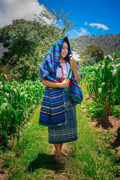 Mujer Indígena Con Traje Típico San Francisco Unión Pie Entre —  Fotos de Stock
