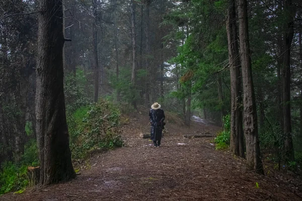 Jovem Com Roupas Pretas Floresta Verde — Fotografia de Stock