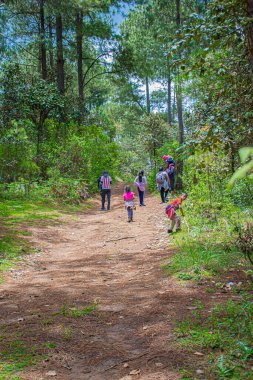 Çocuklar ormanda, aileleriyle güzel manzaralarla oynuyorlar.