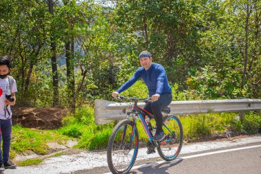 Yeşil ağaçlı bisiklete binen bir adam.