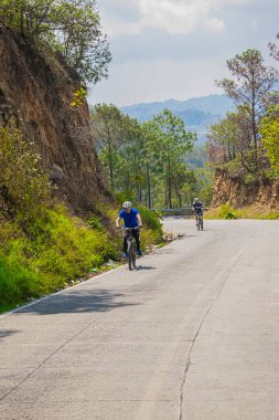 Yol manzaralı bisikletli adamlar ve güzel ağaçlar