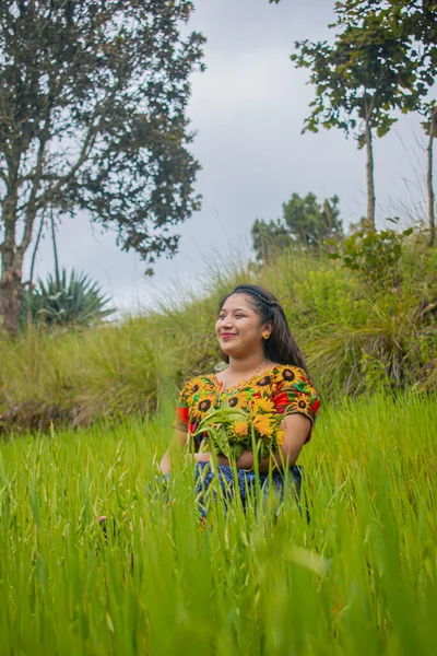 美しい女性は緑の草の間に座っている典型的なマヤの服を背景に木で身を包んだ — ストック写真