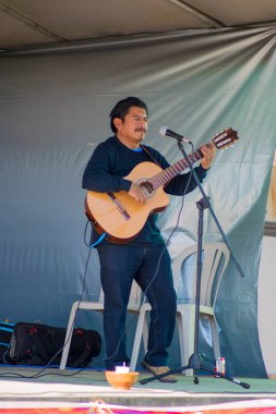 Gri arka planı olan tahta gitarını çalan bir adam.