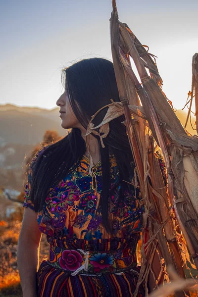 Belle Femme Autochtone Aux Cheveux Longs Aux Feuilles Sèches — Photo