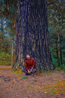 Genç adam ormandaki büyük çam ağacının altında oturuyor.