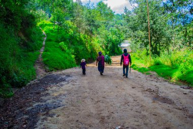Yeşil ormanın ortasında yürüyen insanlar.