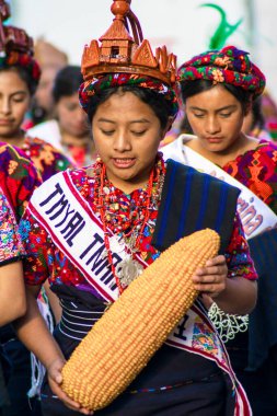 Concepcion Chiquirichapa 'dan elinde büyük mısırla yerli Maya kadını.
