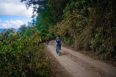 Genç insanlar yeşil ağaçlarla tropikal ormanlarda bisiklet sürüyorlar.