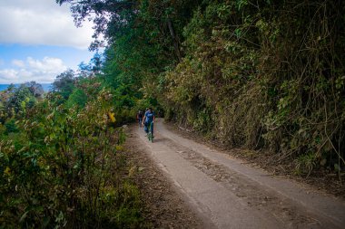 Genç adam tropikal ormanda yeşil ağaçlarla bisiklet sürüyor.