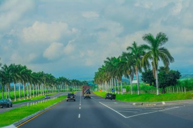 Beyaz bulutlu ve hindistan cevizli yol manzarası