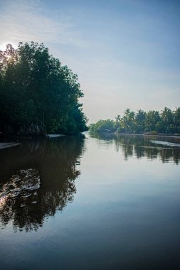Gökyüzü mavi ağaçlarla kaplı güzel bir manzara.