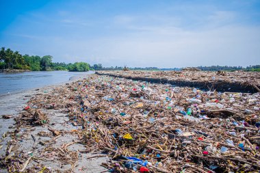 Şişeler ve insan atıkları güzel ocos plajını kirletiyor.