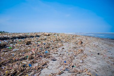 Dallarla kirletilmiş kumsal ve mavi gökyüzü ile insan kalıntıları
