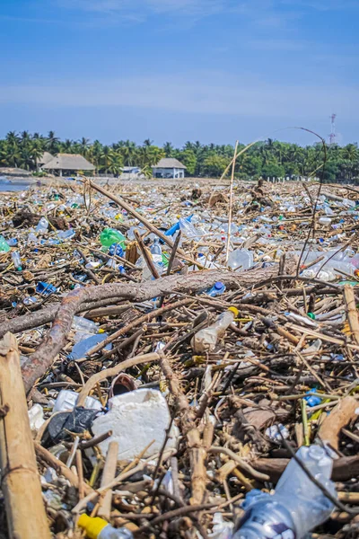 Torby Plastik Między Suchymi Gałęziami Plaży — Zdjęcie stockowe