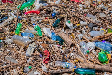 Plajda plastik ve insan atıkları