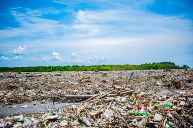 Kirli plaj ölü manzarası Ağaçlarla kaplı