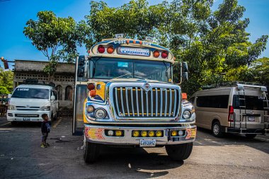 Sarı ağaçların altına park edilmiş otobüs.