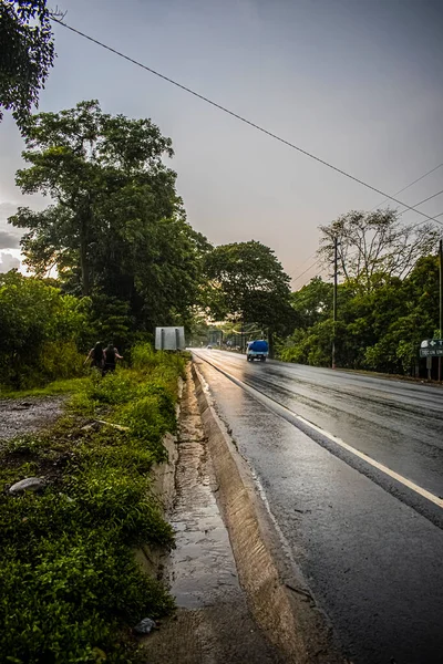 Regendurchnässte Straße Mit Bäumen Ufer — Stockfoto