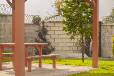 Çam ağaçlı ahşap pullar