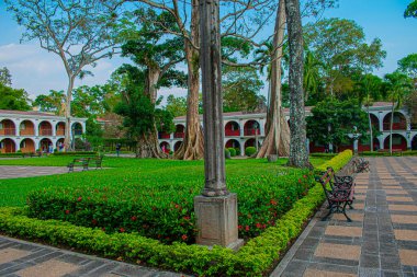 Kuru ağaçlarla kaplı ormanda bir çiftlik.