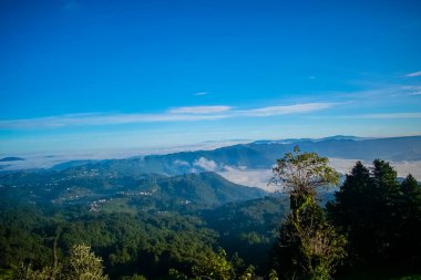 yeşil orman ve mavi renklerle panoramik manzara