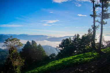 Ağaçları ve dağları olan kırsal alan