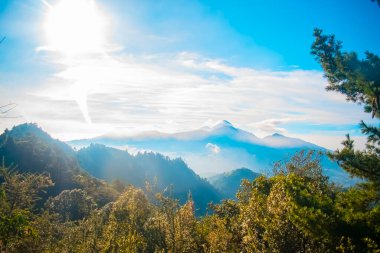 Güneşin doğuşuyla güzel doğal orman manzarası