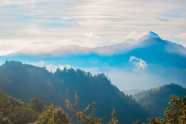Ormandaki sisler ve dağların güzel manzarası