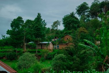 Ormandaki ev çok güzel bir manzaradan yapılmıştır.