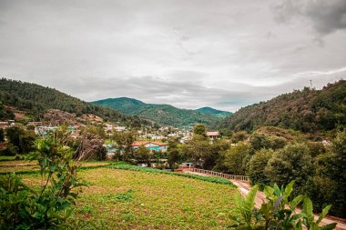 Arkasında dağlar olan mısır ekimi arazisi