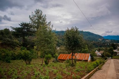 Arka planda ev ve monata ekilen tarlalar