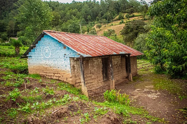 Casa Adobe Abandonado Com Culturas Milho — Fotografia de Stock