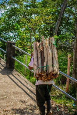 Mr. carrying wood on his back with green trees clipart