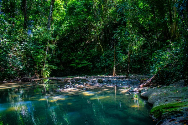 Piedras Grises Bosque Tropical Río —  Fotos de Stock