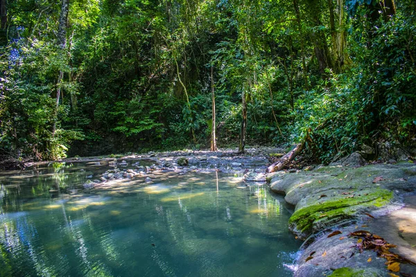 热带雨林岩石上的绿树绿苔景观 — 图库照片