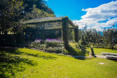 Bahçe, güzel çiçeklerle süslenmiş etkinlik galerisi