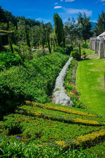 Gehweglandschaft Mit Schönen Gartenblumen Mit Hintergrundhaus — Stockfoto