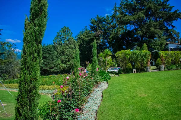 Garten Mit Blumen Und Natürlich Grünem Gras Mit Bäumen Hintergrund — Stockfoto