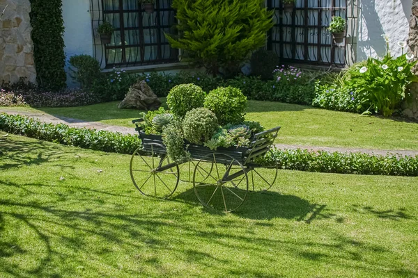 Cart Beautiful Flowers Classic Style Garden — Stock Photo, Image