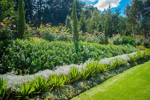 Flores Jardín Con Árboles Verdes Hermoso Cielo Azul —  Fotos de Stock