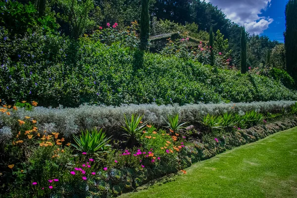 Hermoso Jardín Flores Arroyo Con Árboles Verdes —  Fotos de Stock