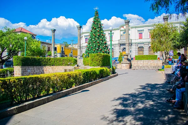 Árbol Navidad Parque Quetzaltenango Con Edificio Detrás —  Fotos de Stock