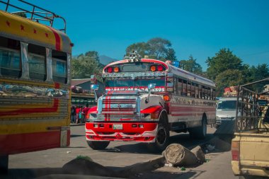 Minerva terminali kırmızı halk otobüsü taşımacılığı