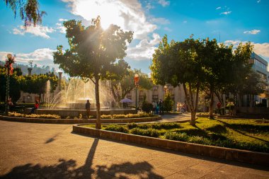 Yeşil ağaçları ve güzel mavi gökyüzü olan Central Park