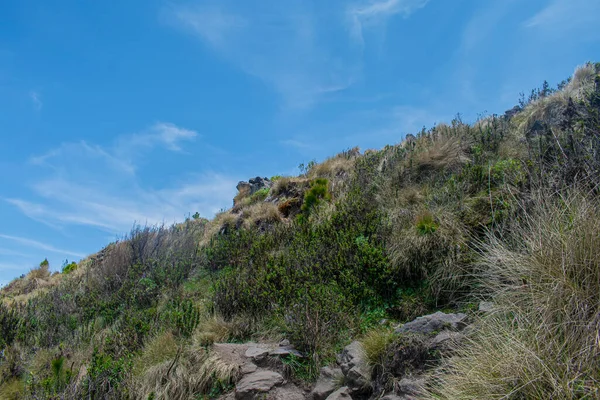 Colina Com Grama Seca Com Céu Azul — Fotografia de Stock