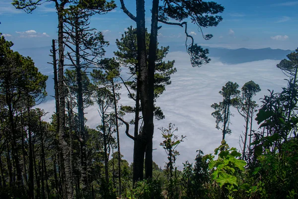 Bellissimi Alberi Vulcano Santa Maria Con Nuvole Bianche — Foto Stock