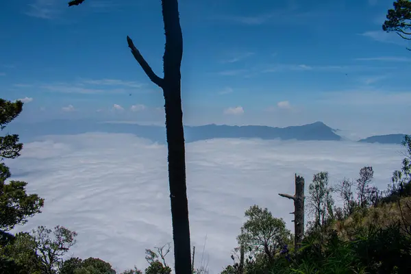 Paesaggio Nuvoloso Con Cielo Blu Montagne Lontananza Con Alberi — Foto Stock