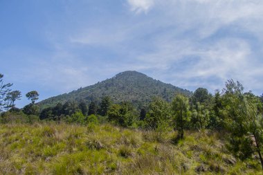 Güzel mavi gökyüzü ve yeşil ormanıyla volkan manzarası