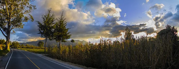 Mısır Tarlaları Beyaz Bulutlarla Kaplı Yol Manzarası — Stok fotoğraf