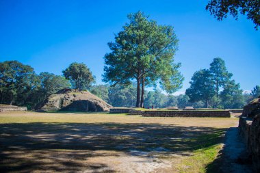 Tecpan 'daki ağaçlı Maya tapınağının güzel manzarası